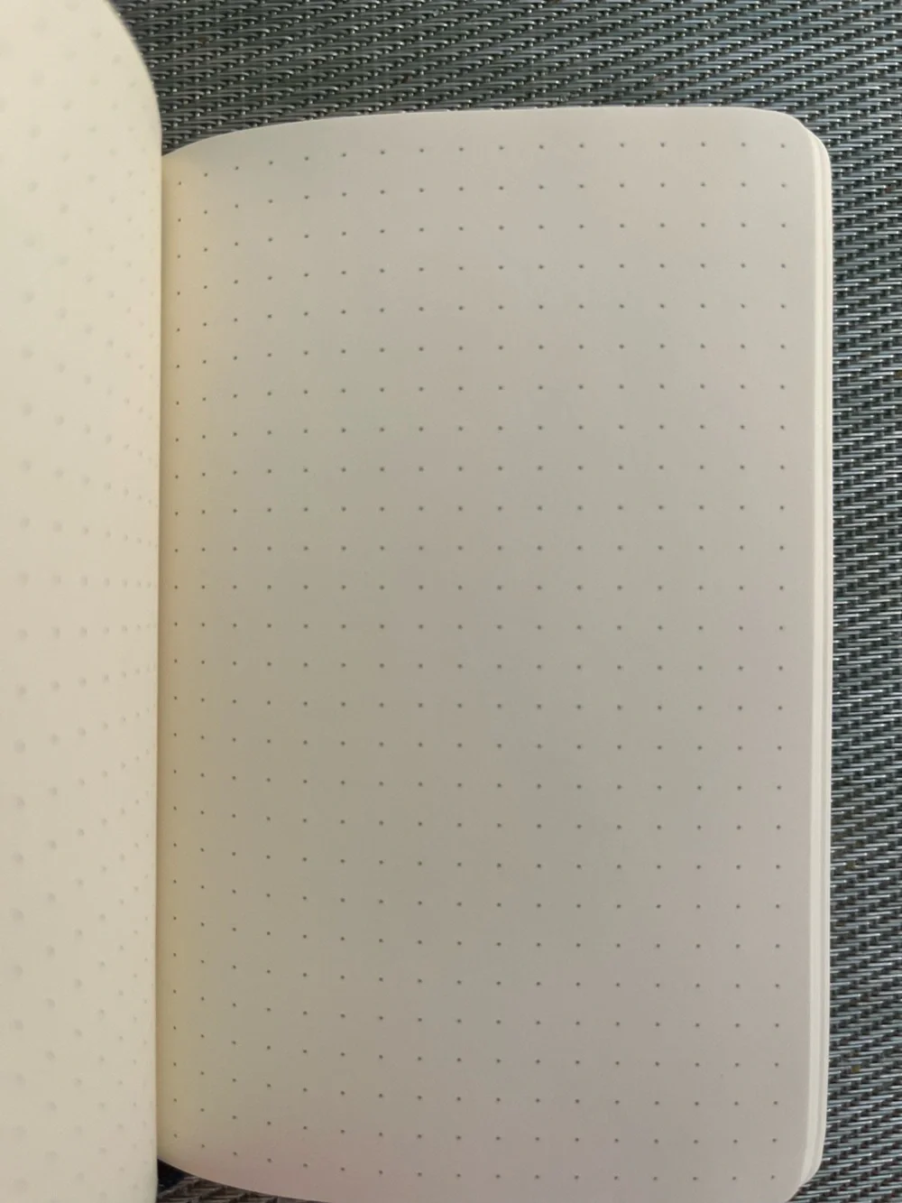 Moleskine slim lined